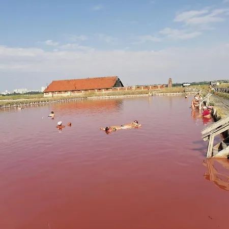 даскала с паркомясто Бургас